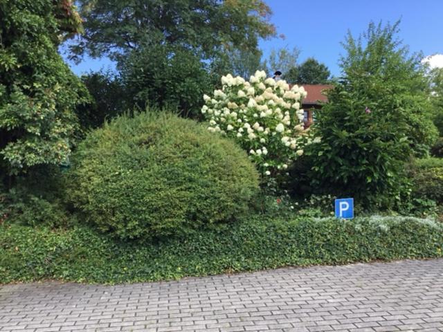 Bayerischer Wald - Balbersdorf Waffenbrunn Exteriér fotografie