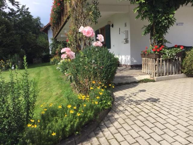 Bayerischer Wald - Balbersdorf Waffenbrunn Exteriér fotografie